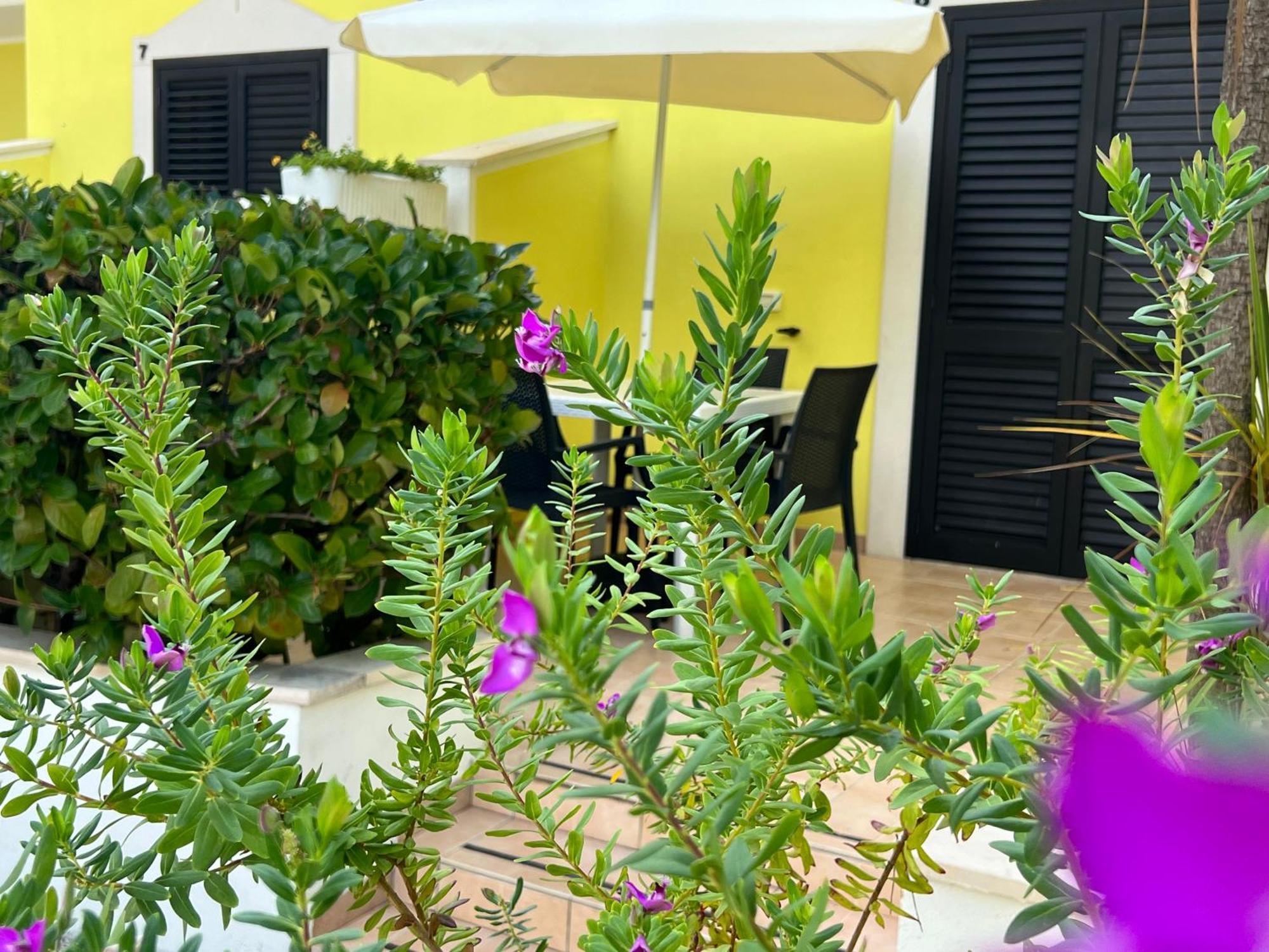 Argeste Club Vacanze Vieste Zewnętrze zdjęcie